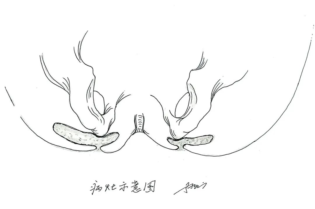 微信图片_2025-09-23_092742_814.jpg